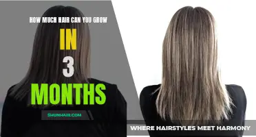 The Astonishing Amount of Hair Growth You Can Achieve in 3 Months