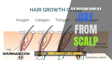The Amazing Rate at Which Hair Grows from the Scalp Revealed