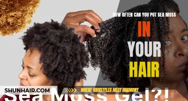 The Best Way to Incorporate Sea Moss in Your Hair Care Routine