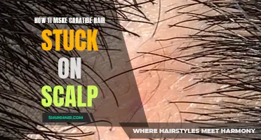 Unleashing Creativity: How to Make Colorful Hair Stuck on Scalp