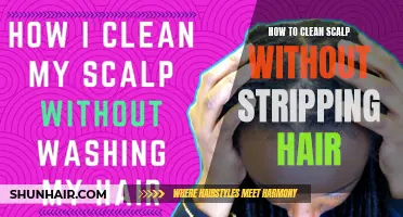 Gentle Methods to Cleanse Your Scalp Without Stripping Your Hair