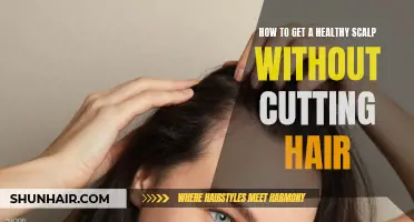 Achieve a Healthy Scalp Naturally Without Cutting Your Hair