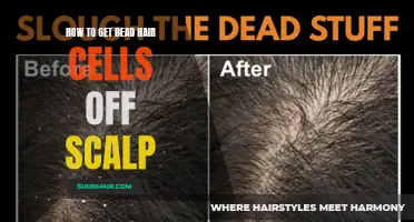 The Ultimate Guide to Removing Dead Hair Cells off Your Scalp