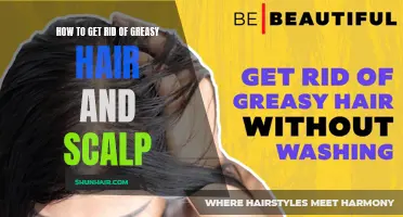 Effective Ways to Eliminate Greasy Hair and Scalp