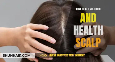 Achieving Soft Hair and a Healthy Scalp: Essential Tips and Tricks