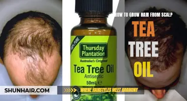 The Ultimate Guide to Growing Hair with Scalp Tea Tree Oil