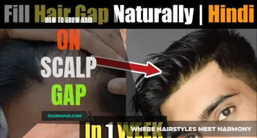 Tips for Growing Hair on a Scalp Gap