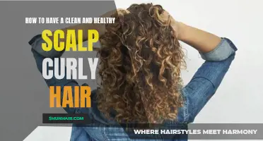 How to Maintain a Clean and Healthy Scalp for Curly Hair