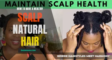 Tips for Maintaining a Healthy Scalp with Natural Hair