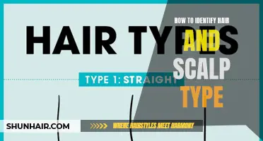 Understanding Your Hair and Scalp Type: A Comprehensive Guide