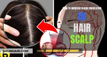A Comprehensive Guide to Enhancing Blood Circulation in the Hair Scalp