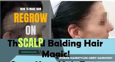 Ways to Regrow Hair on the Scalp