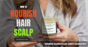Nourish Your Hair Scalp: Essential Tips for Optimum Hair Health