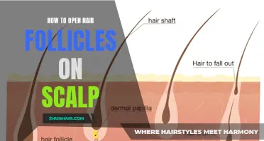 Unlock the Secrets: How to Open Hair Follicles on the Scalp