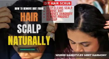 Effective Natural Methods to Remove Dirt from the Hair Scalp