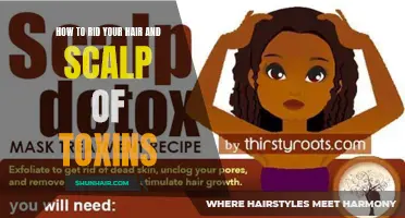 Detoxify Your Hair and Scalp with These Effective Tips