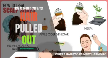 Natural Remedies to Soothe a Sore Scalp after Hair Pulling