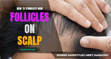 Effective Ways to Stimulate Hair Follicles on the Scalp