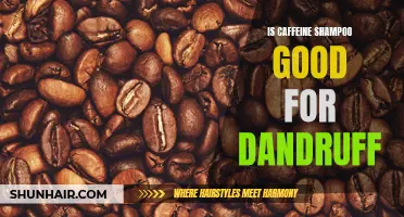 Does Caffeine Shampoo Really Help Eliminate Dandruff?