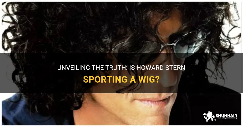 is howard stern wearing a wig