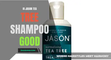 Exploring the Benefits of Jason Tea Tree Shampoo: Is It Worth Trying?