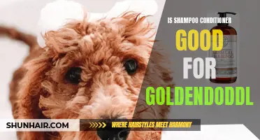 Unlocking the Secrets: Is Shampoo with Conditioner Beneficial for Goldendoodles?