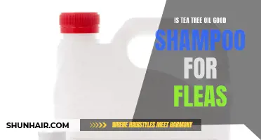 The Benefits of Using Tea Tree Oil Shampoo for Fleas