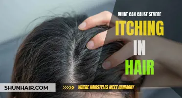 Understanding the Factors Behind Severe Itching in Hair