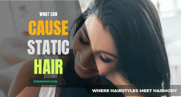 Understanding the Factors that Cause Static Hair and How to Manage It