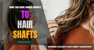 Understanding the Factors Behind Sudden Changes in Hair Shaft Condition