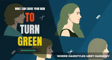 How Environmental Factors Can Cause Your Hair to Turn Green