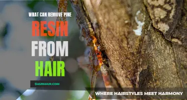 Top Tips for Removing Pine Resin from Hair