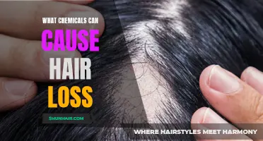 The Impact of Harmful Chemicals on Hair Health: Identifying the Culprits of Hair Loss