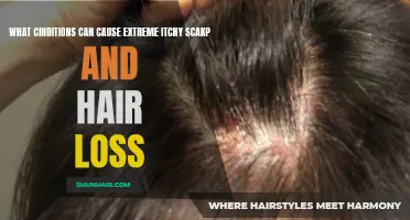 Understanding the Possible Causes of Severe Itchy Scalp and Hair Loss