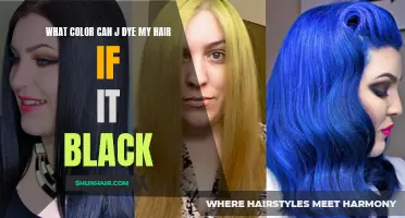 The Best Hair Colors to Dye Black Hair