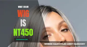 Choosing the Right Wig Color for NT450: A Comprehensive Guide