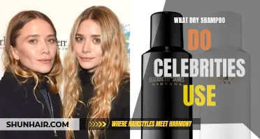 The Popular Dry Shampoo Brands Celebrities Rely On