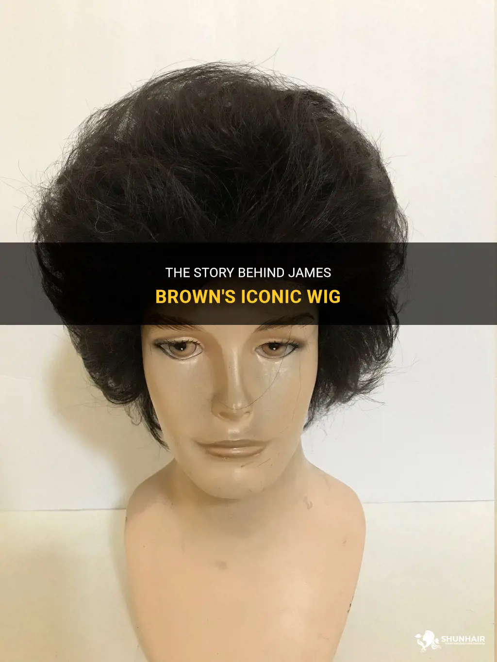 what is james brown wig
