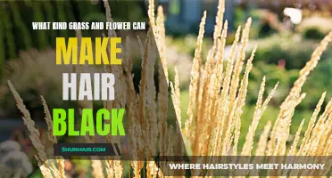 The Best Grass and Flower to Achieve Luscious Black Hair