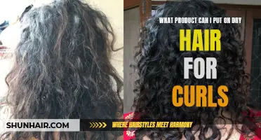 The Best Product to Moisturize and Define Curls on Dry Hair