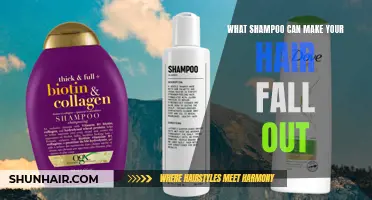 Is Your Shampoo Causing Your Hair to Fall Out?