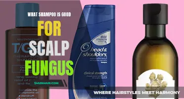 The Best Shampoos to Treat Scalp Fungus and Restore Healthy Hair