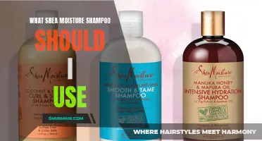 Understanding the Right Shea Moisture Shampoo for Your Hair Type