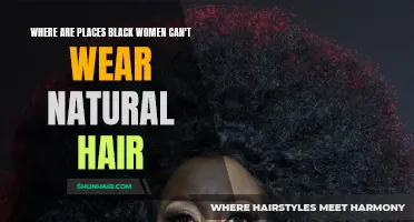 Breaking the Mold: Breaking Down Barriers to Black Women Wearing Natural Hair in Certain Places
