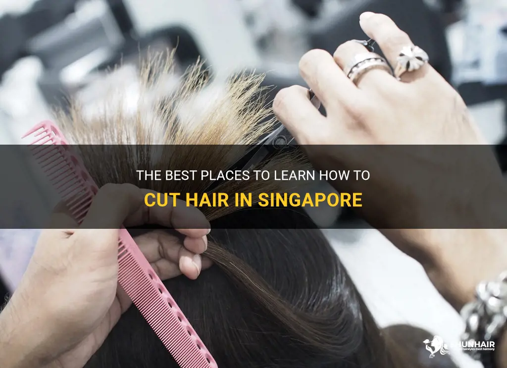 where can I learn to cut hair in singapore