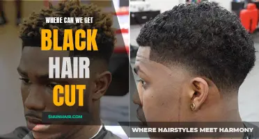 Discover the Best Places for Getting a Black Hair Cut