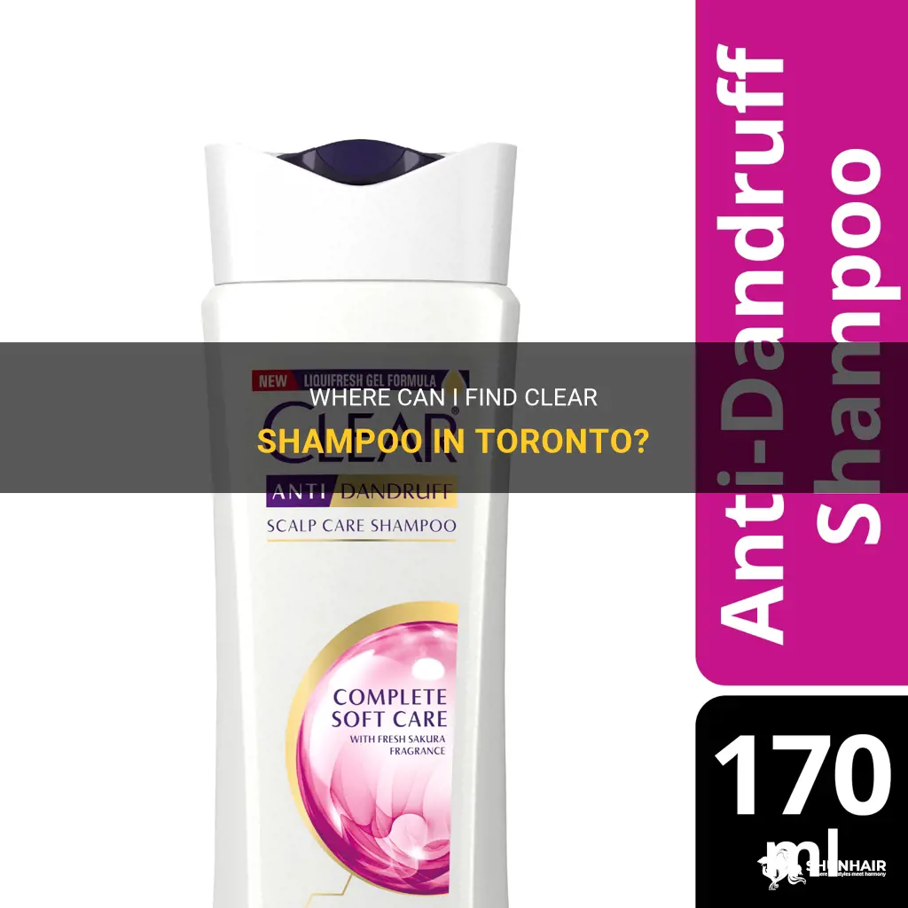 where to buy clear shampoo in toronto