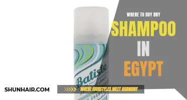 The Ultimate Guide on Where to Buy Dry Shampoo in Egypt