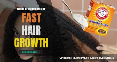 The Most Effective Herbs for Fast Hair Growth Revealed