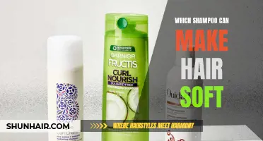 The Best Shampoo for Soft, Silky Hair